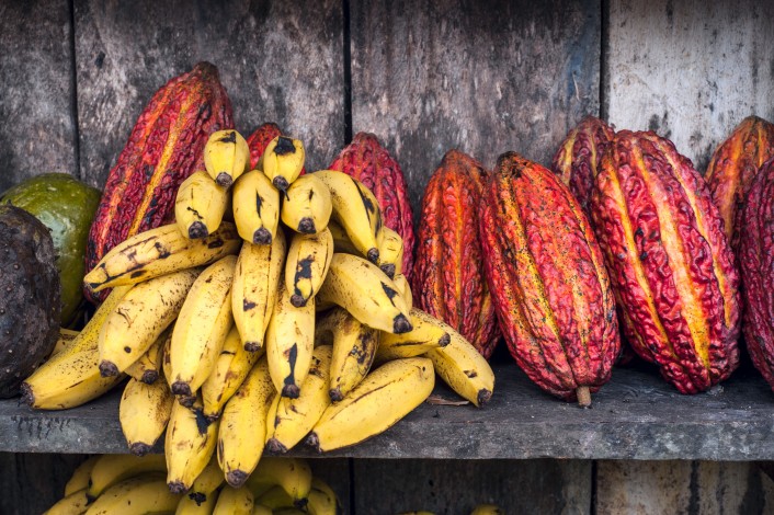 Latin America Fruit street market