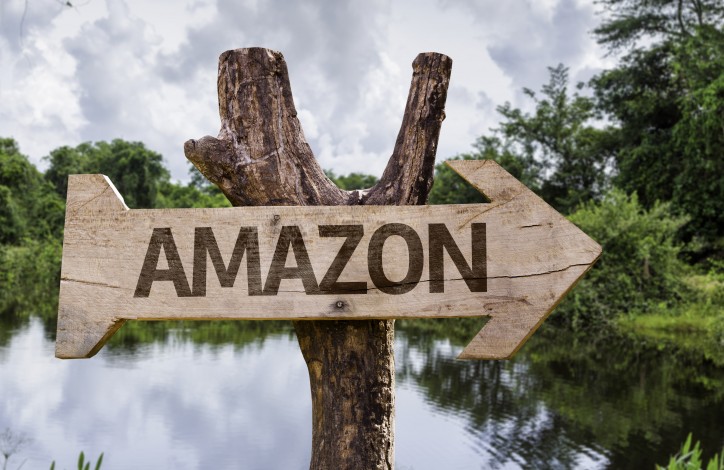 Amazon wooden sign on a forest background