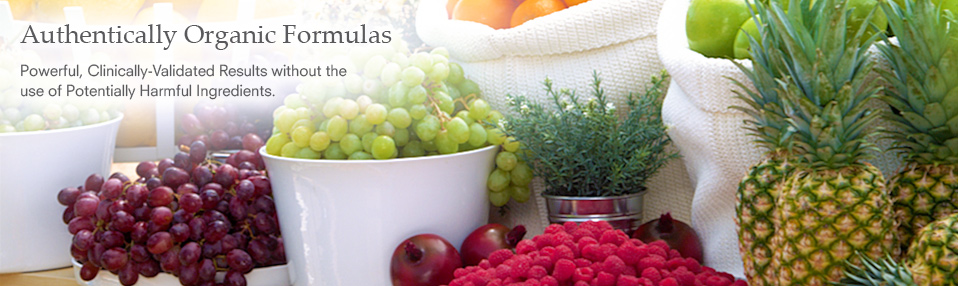 authentically-organic-ingredients-958x286