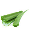 organic-aloe-leaf