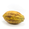 organic-cocoa-butter