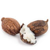 organic-shea-butter