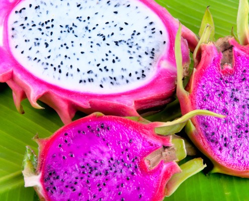 BM_Dragon Fruit aka Pitaya_45369819
