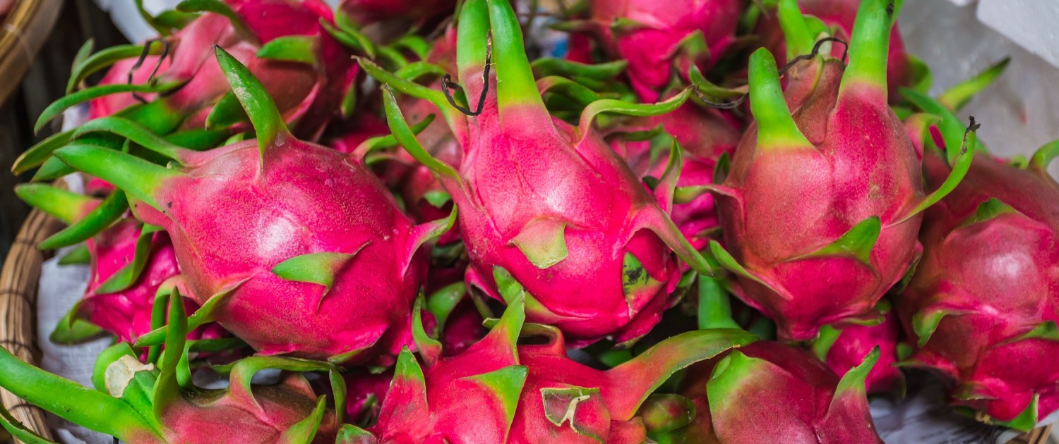 BM_Dragon fruit, Pitaya_83340381