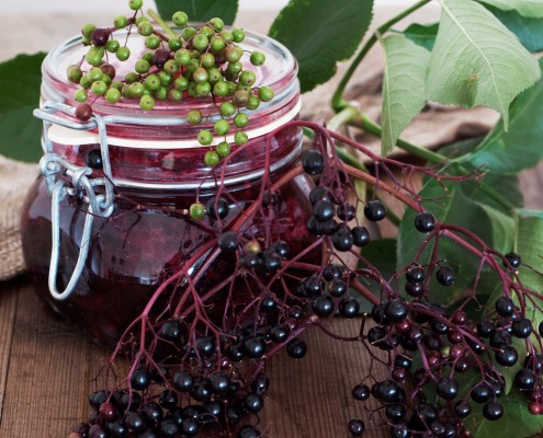 BM_Elderberry Syrup_43656595