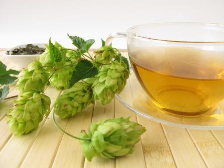 Tea with hops_16810309_s