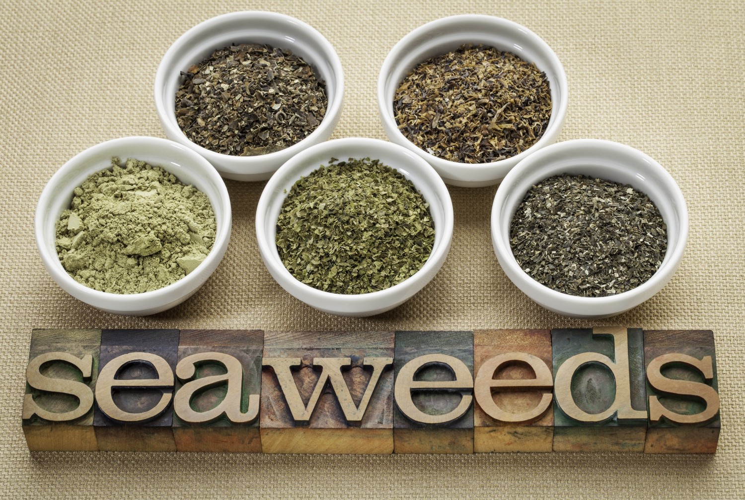 BM_seaweeds - diet supplements_60107416