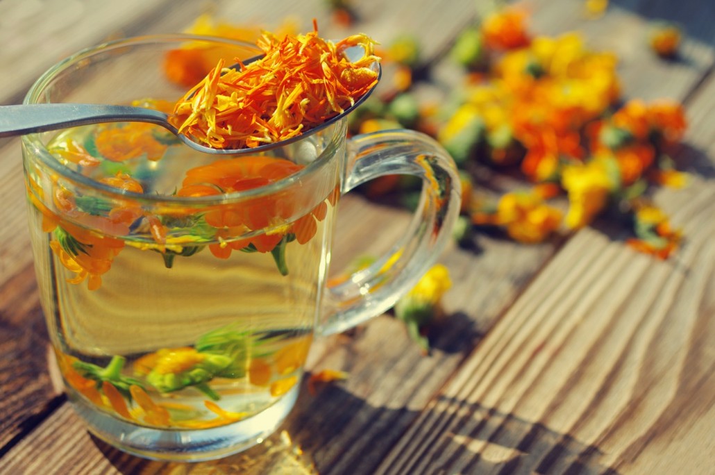 BM_Medicinal flowers of a calendula_90704920