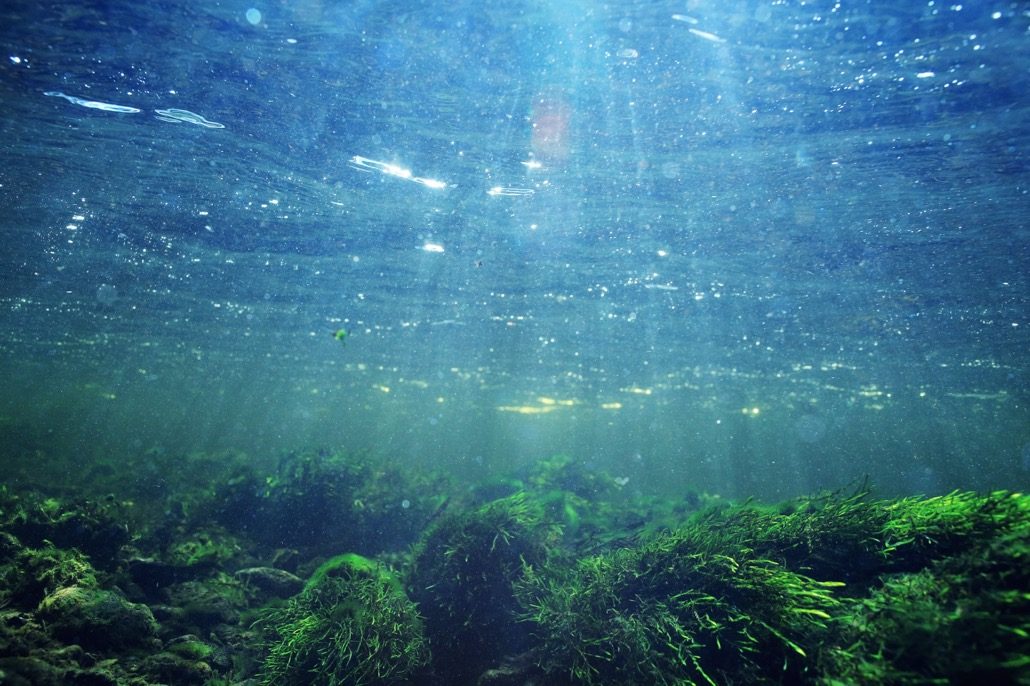 BM_underwater scenery, algae, clean clear water, mountain river cleanliness_102487370