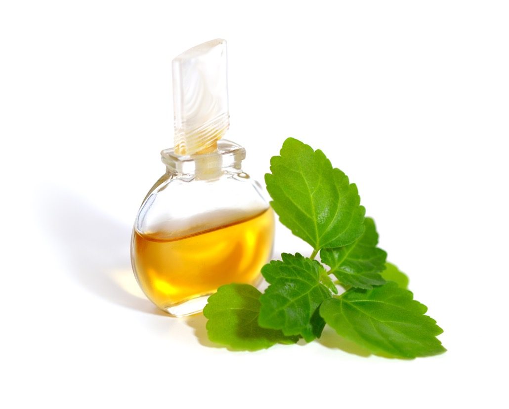 BM_Patchouli sprig with essential oil_100003989