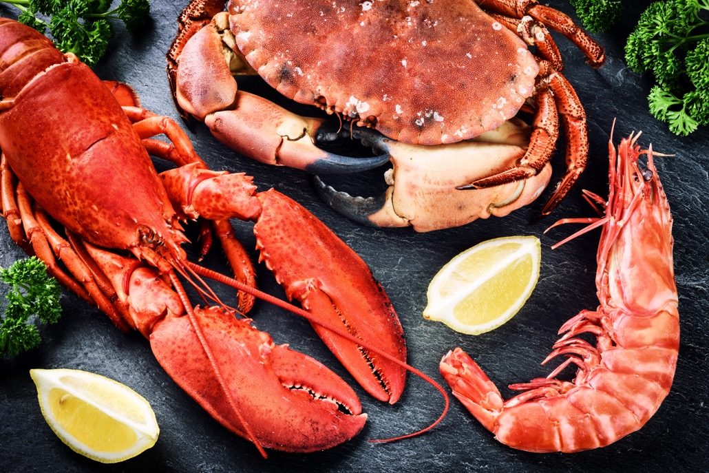 BM_Fine selection of crustacean for dinner. Lobster, crab and jumbo_102244442