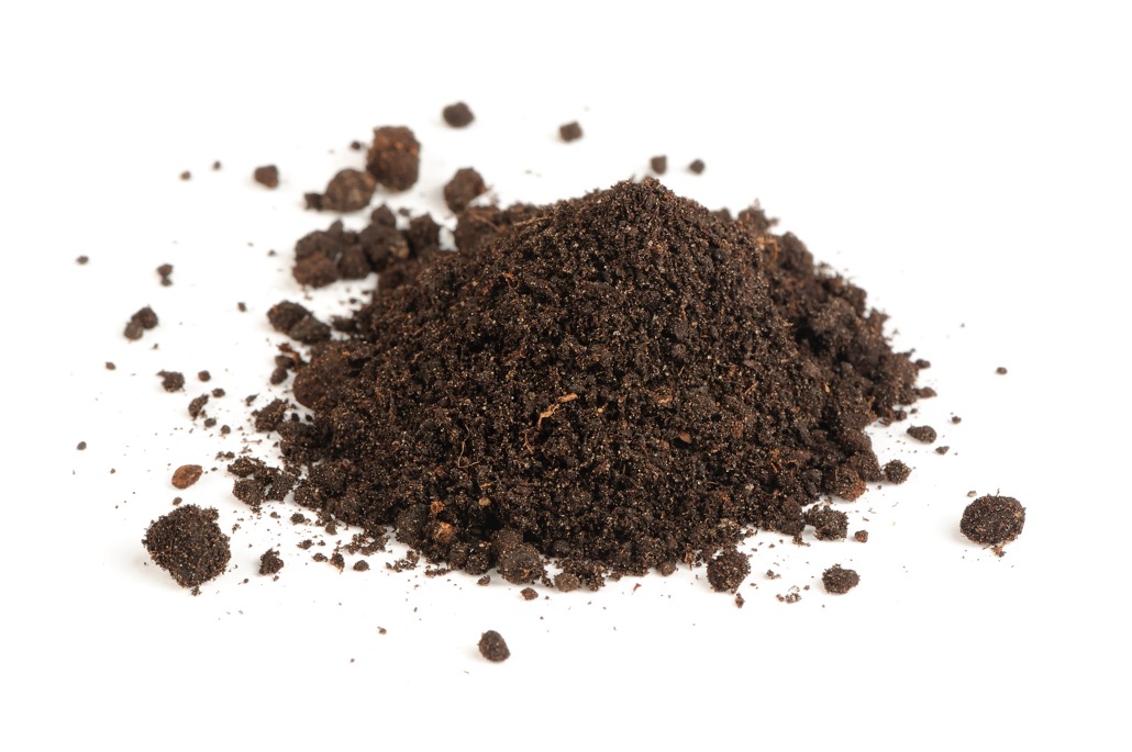 bm_pile-of-soil-isolated-on-white-background_95947506