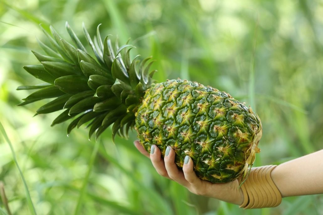 bm_woman-holding-pineapple-on-blurred-nature-background_118516017