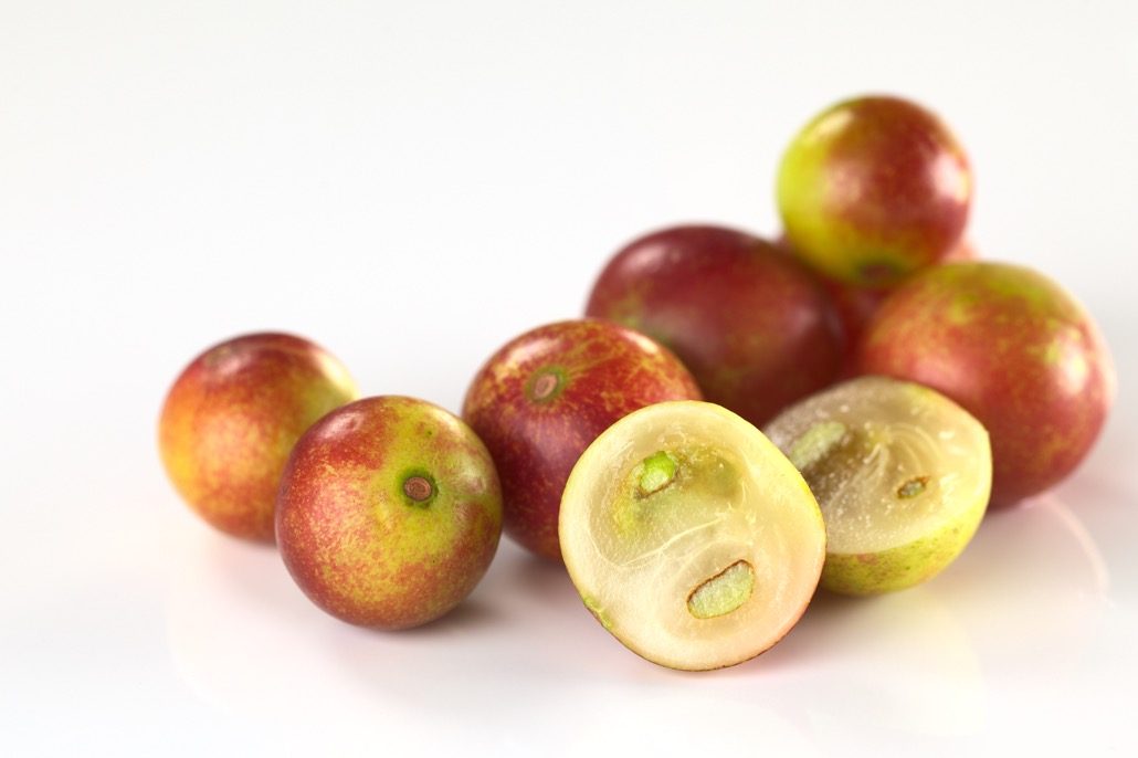 BM_Camu camu berry fruits (lat. Myrciaria dubia)_37271140