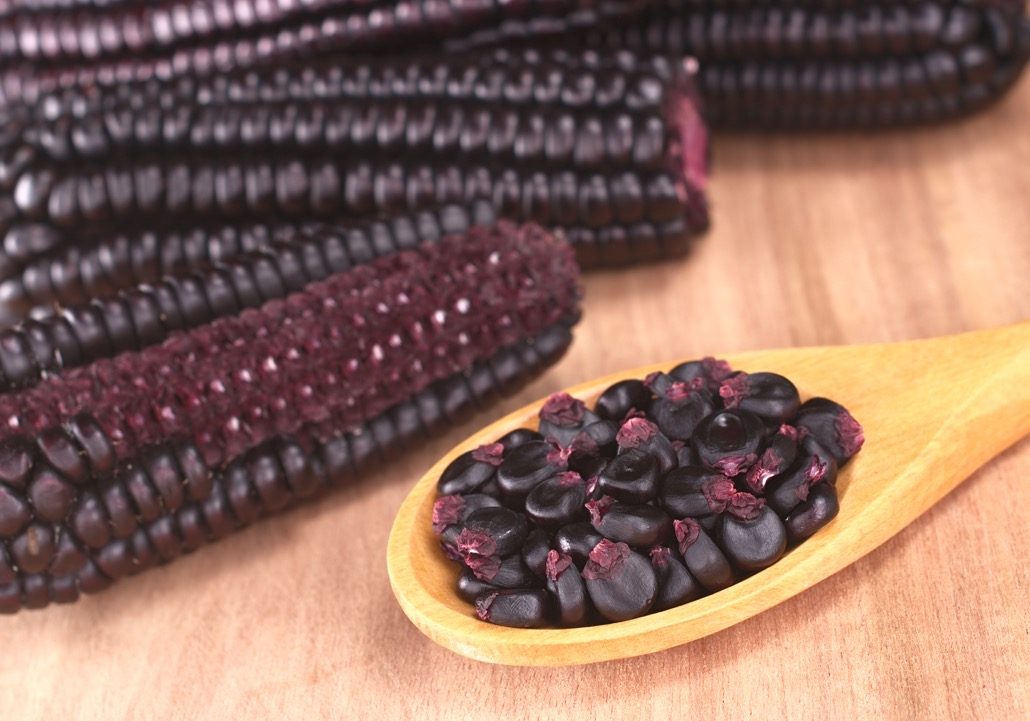 BM_Peruvian purple corn grains on wooden spoon_30725770