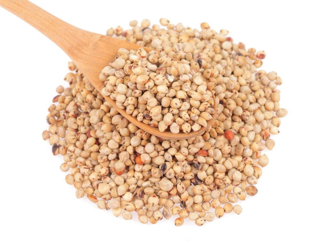 BM_Sorghum_72806154