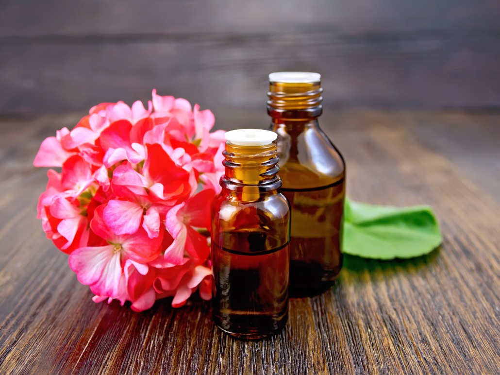 BM_Oil with pink geraniums on board_97701048