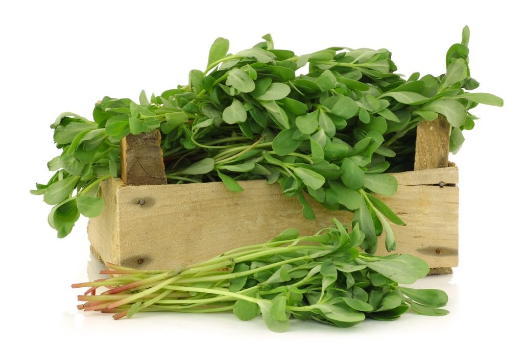 BM_purslane (Portulaca oleracea) in a wooden crate_78707655