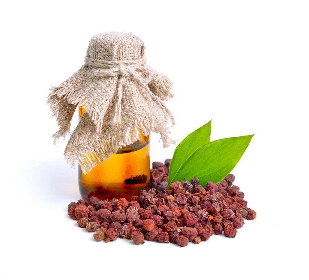 BM_Schisandra chinensis, magnolia berry, five-flavor-fruit, wu wei zi_139109367