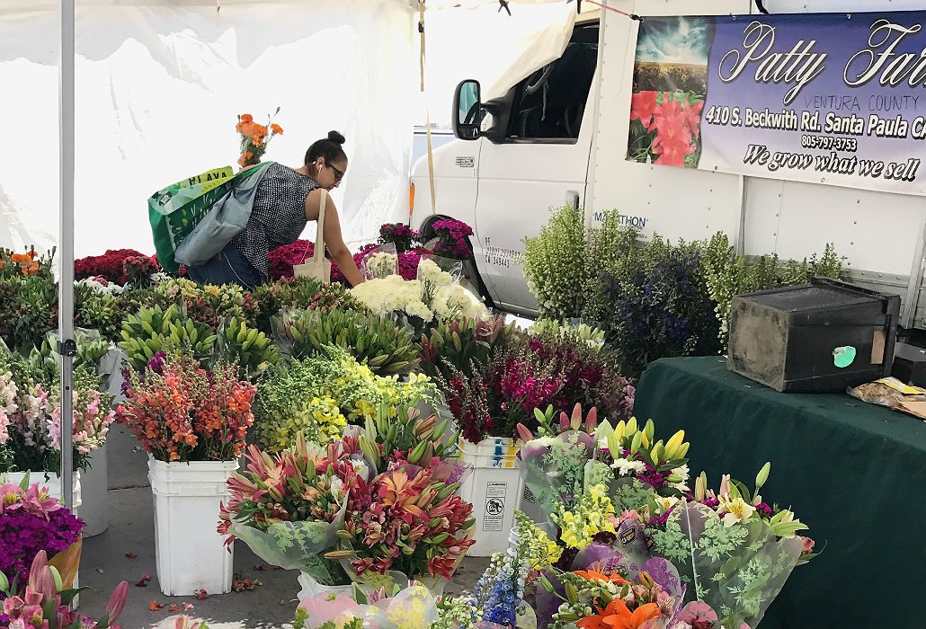 BM_FarmersMarket2017-3