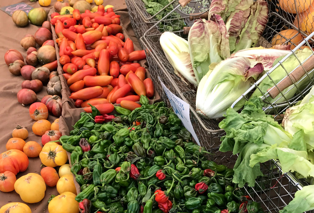 BM_FarmersMarket2017-4