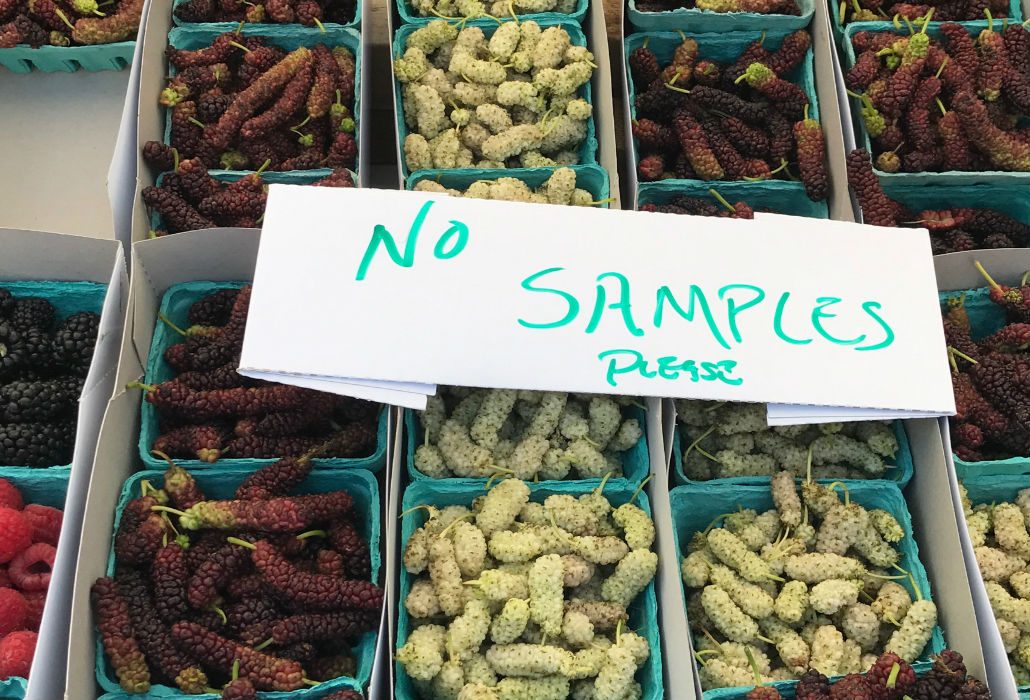 BM_NoSamples