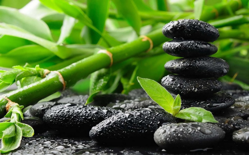 BM_Spa concept-Blackstones-bamboo