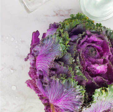 cream_kale